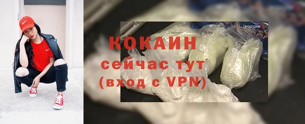 хмурый Алексин