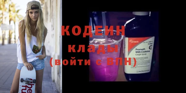 хмурый Алексин
