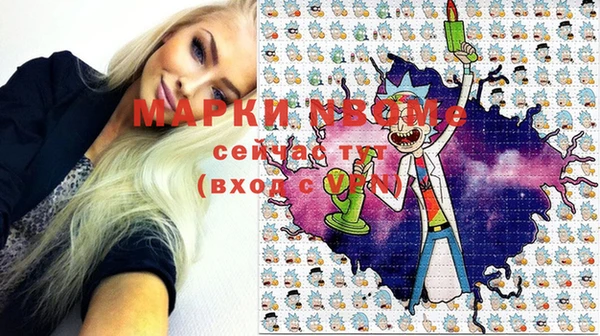 хмурый Алексин