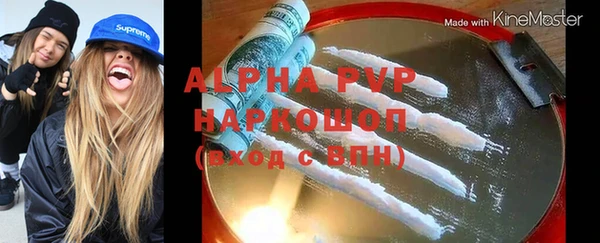 хмурый Алексин