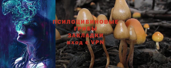 хмурый Алексин
