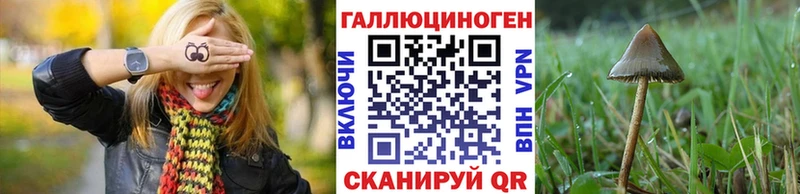 ссылка на мегу рабочий сайт  Тула  Галлюциногенные грибы Psilocybe 